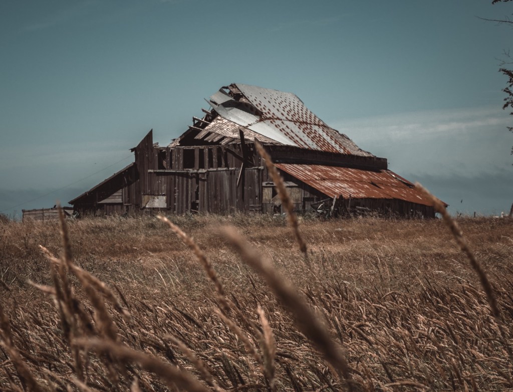 Weathered barn with a rusted metal roof standing in a dry field.