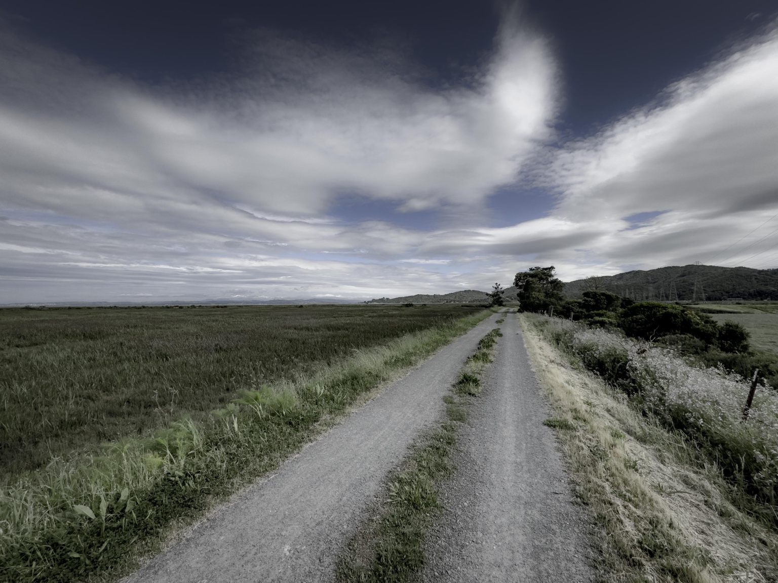 Unpaved road crossing open fields beneath a broad, cloud-filled sky.
